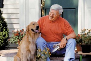 How One Can Halt The Habit Of Pet Dog Biting