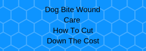 dog bite