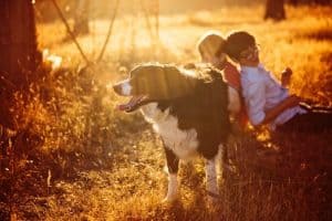 Top Seven Things To Look For In A Pet Insurance Policy