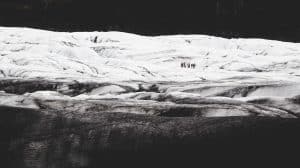 The Benefits of Dog Care and Dog Grooming