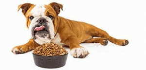 Pet Care Center Montgomery Alabama