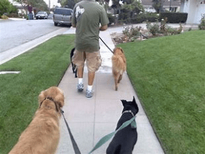 Everything You Need To Know