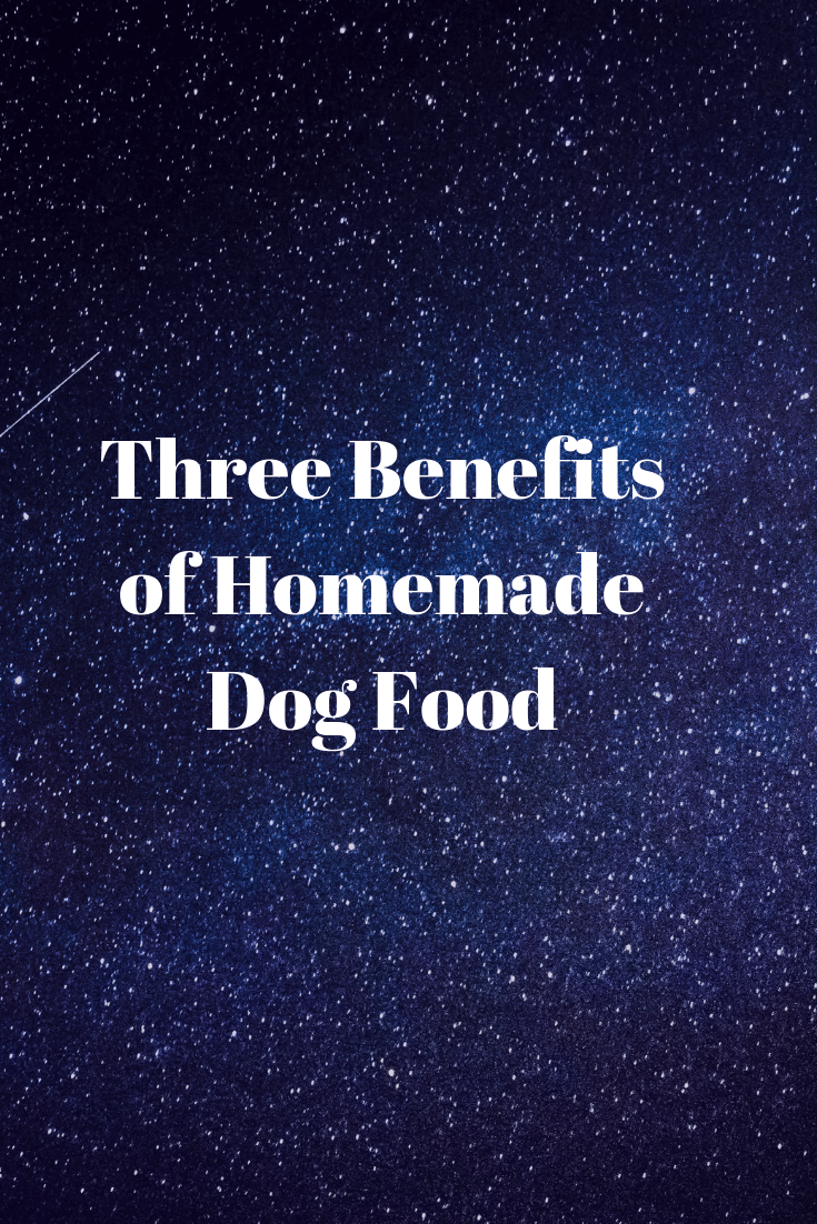 Three Benefits of Homemade Dog Food